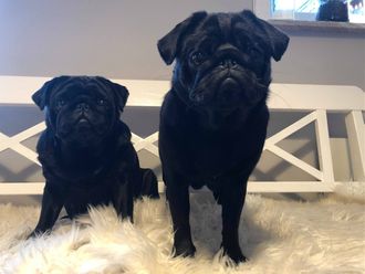 ZuMa´s Sixpack Sally & Zmach Á La Fame (Mor och dotter)